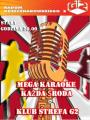 karaoke (1)